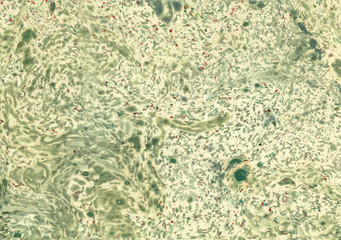 Green Textured Paper Background With Marble Effects