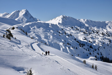 Sur les chemins glacés de l'Oberland bernois en Suisse