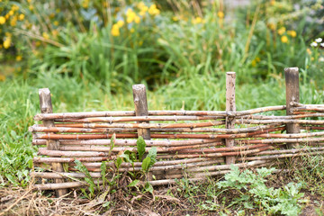 Fototapeta premium Fence woven from twigs. Green bright grass