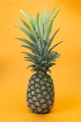 Pineapple on yellow background