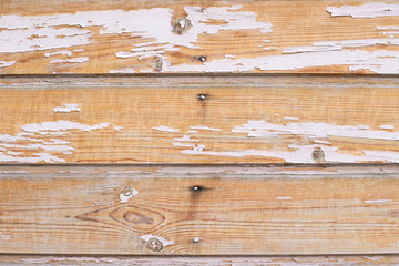 Fototapeta premium Light brown boards. Old white paint