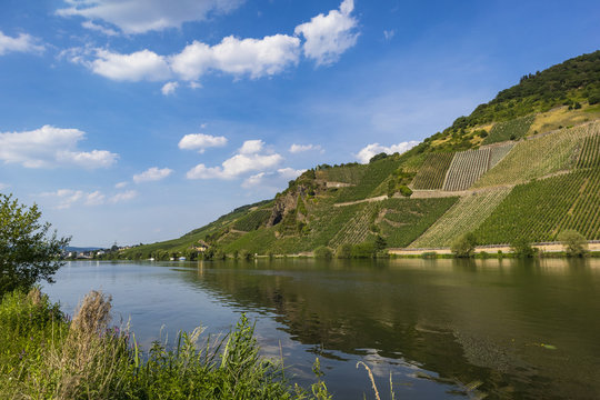 Weinberg-Mosel