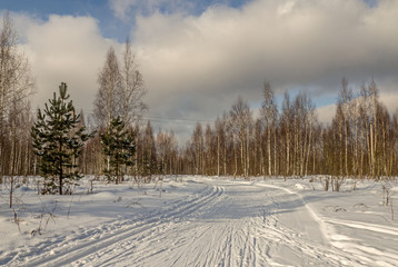Fototapeta premium Winter landscape