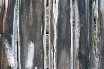 Uneven coating. Wooden wall. Dark brown boards