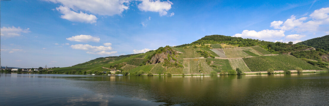 Moselpanorama