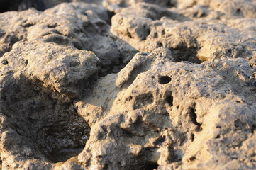Lehm Klumpen bei Ebbe auf einer Sandbank, Elbe Germany