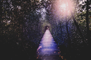 fantasy tone nature walking trail