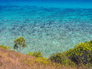 Abstract nature background. Clear blue sea and coral reef with green plants and dry grass on the hill.
