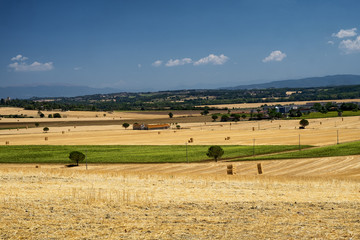 Fototapeta na wymiar Summer landscape near Perugia