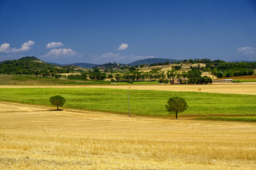 Fototapeta premium Summer landscape near Perugia