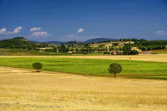 Summer landscape near Perugia
