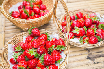 Strawberries in outdoor gardens.
