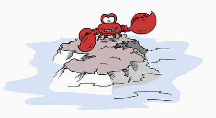 krab op een rots © emieldelange