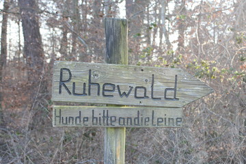 Ruhewald, Waldfriedhof