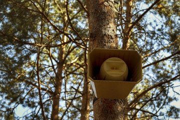 The loudspeaker horn system alert attached to the pine tree in the forest