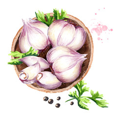 Plate with garlic, top view. Watercolor hand drawn illustration, isolated on white background