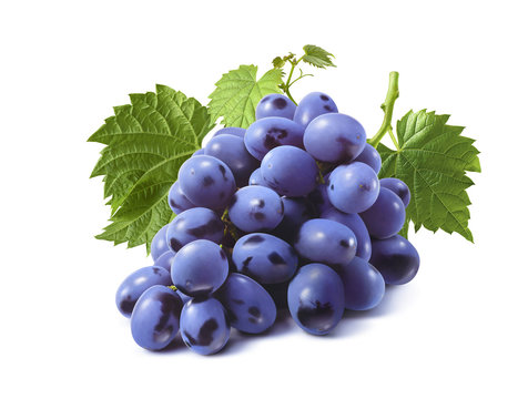 Bunch of blue grapes with leaves isolated