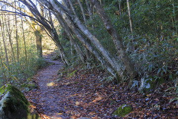 Old traditional trail called Nakasendo in Japan