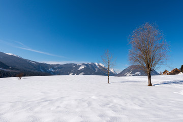 Snowy landscape , winter at austria