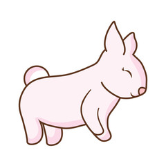rabbit animal icon