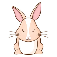 Cute rabbit icon