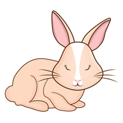 Cute rabbit icon