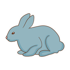 rabbit animal icon