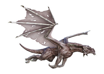 3D Rendering Fantasy Vampire Dragon on White