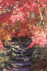 Old traditional trail called Nakasendo in Japan