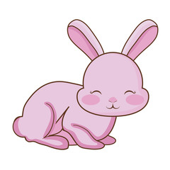 Cute rabbit icon