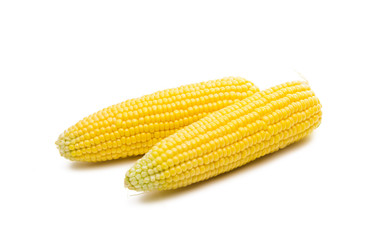 head of corn isolated