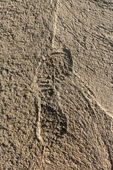 Imprint of one human foot in shoes hardening in grey concrete.