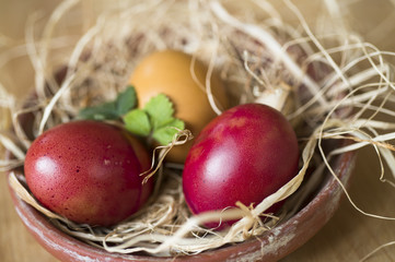 naturgefärbte Eier im Osternest