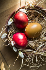 naturgefärbte Eier im Osternest