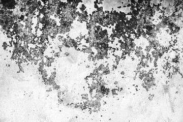 Wall fragment with scratches and cracks