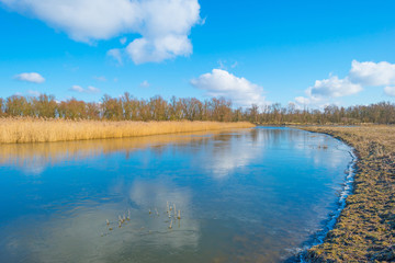 The edge of a frozen lake in sunlight in winter