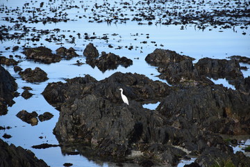 Küste in Gaansbaai Südafrika