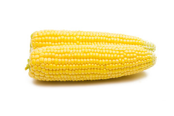 head of corn isolated