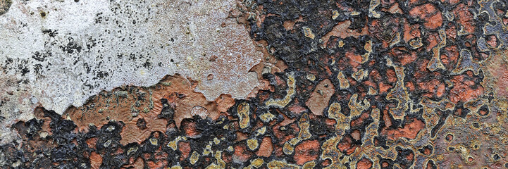 Red old paint on a decaying shipwreck