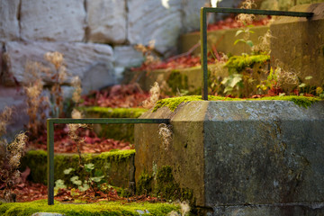 Schloss Reinhardsbrunn, Friedrichroda, Thüringen, Thüringer Schlösser und Gärten 7