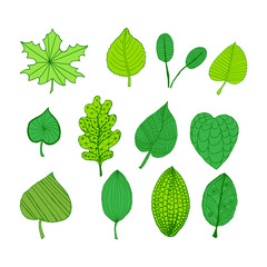 Set of spring green doodle decorative leaves