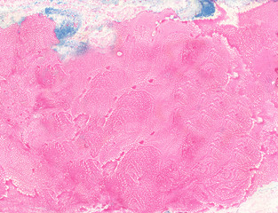 Fluid Painted Background with Pinkand Blue Marbled Effect Texture