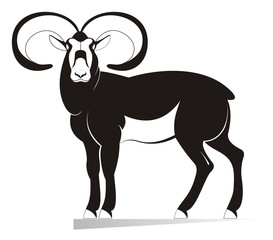 Ram original black on white illustration. Decor ram silhouette isolated on white illustration 
