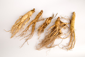 Ginseng /Ginsengwurzel