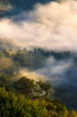 vertical soft focus image of beautiful view sunrise of mountain with morning mist in Thailand, travel, landscape and nature concept