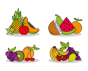 set of fresh nutrition food fruits vector illustration