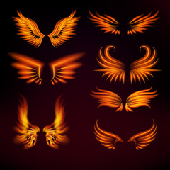 Bird fire wings vector fantasy feather burning fly mystic glow fiery burn hot art wings illustration on black.