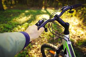 Fototapeta na wymiar cyclist in spring forest holds bicycle rudder against background of green nature in sunlight.