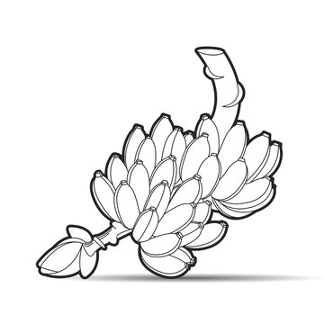 black and white bananas bunch clip art preview