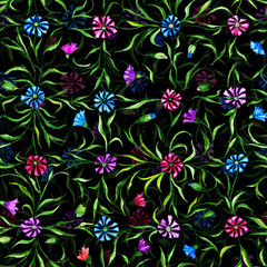 Small beautiful flowers with leaves on black background. Bright cornflowers in check pattern. Seamless pattern. Watercolor painting.